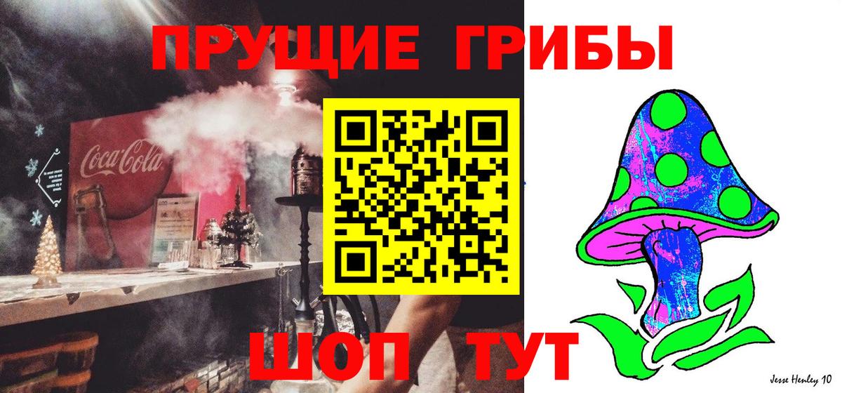 Псилоцибиновые грибы мицелий Волжск